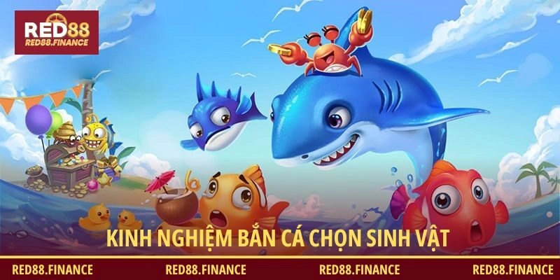 Kinh nghiệm bắn cá bí quyết chọn sinh vật